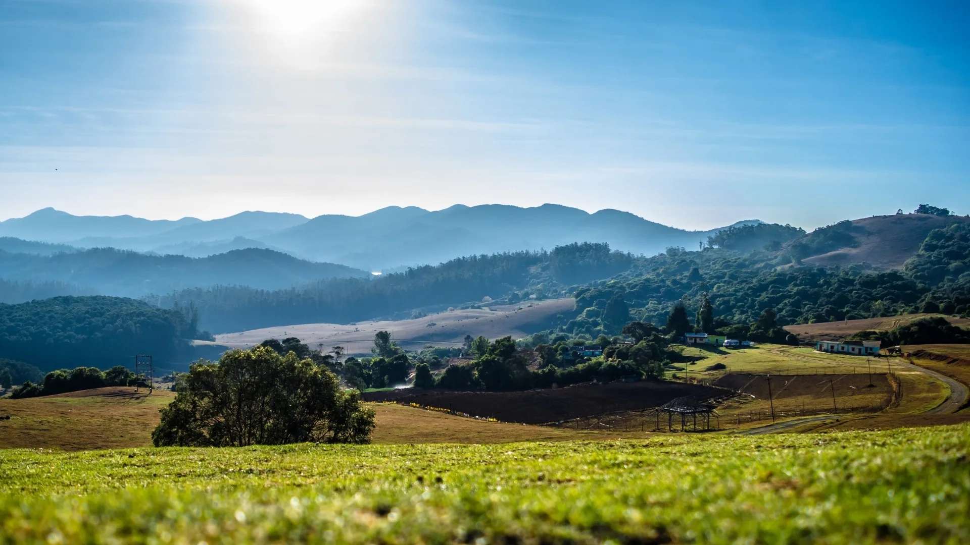 Ooty